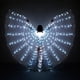 thumbnail image 1 of Disfraz LED Wings de iMucci Glow Angel para mujer, Halloween, 1 of 6