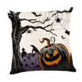 thumbnail image 1 of Funda de almohada de Halloween, funda de almohada cuadrada, decoración moderna para el hogar, funda de cojín de poliéster para regalo, restaurante y Estilo D, 1 of 8
