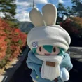 thumbnail image 5 of Muñeco de peluche periférico de dos dimensiones de anime Hatsune Miku, esqueleto de algodón, muñeco de peluche de 20 cm, regalo para niñas, 5 of 5