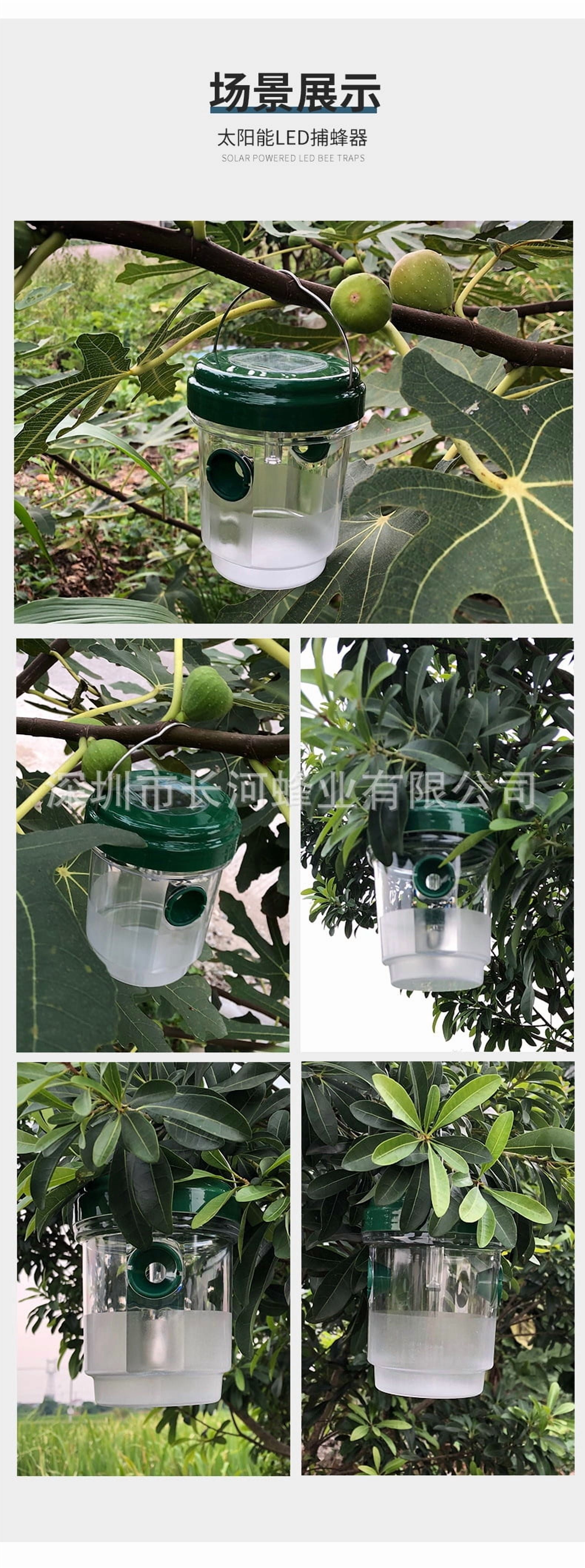Multipack Wasp Trap Solar Powered Bee Trap Reusable Fly Traps Outdoor Hanging Wasp Killer with UV LED Light Flying Insects Bee Killer for Indoor Outside Patio Garden Home (Green)
