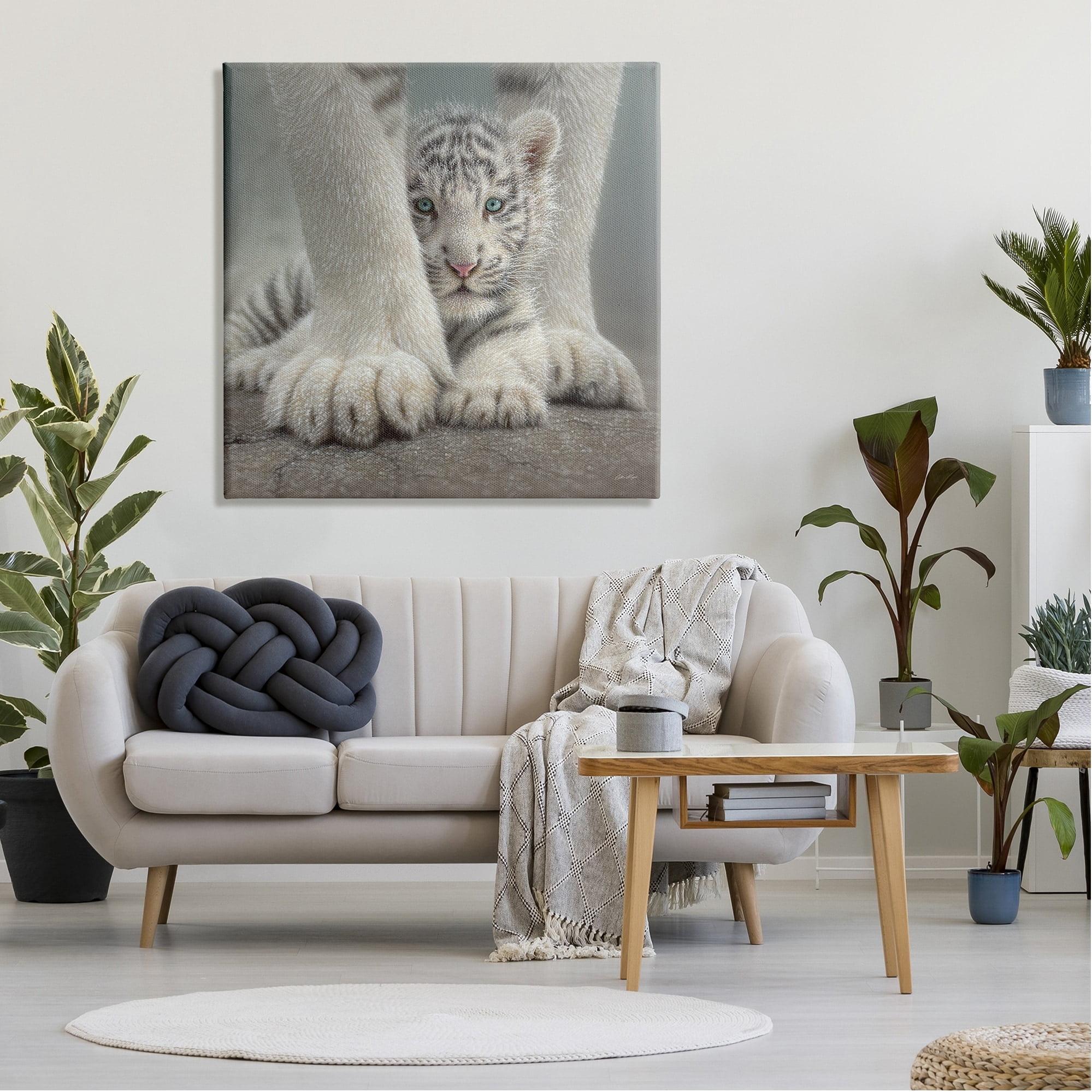 Stupell Industries Adorable Fuzzy Tiger Baby White Bengal With Mother Close Up , 36 x 36, Design by Collin Bogle