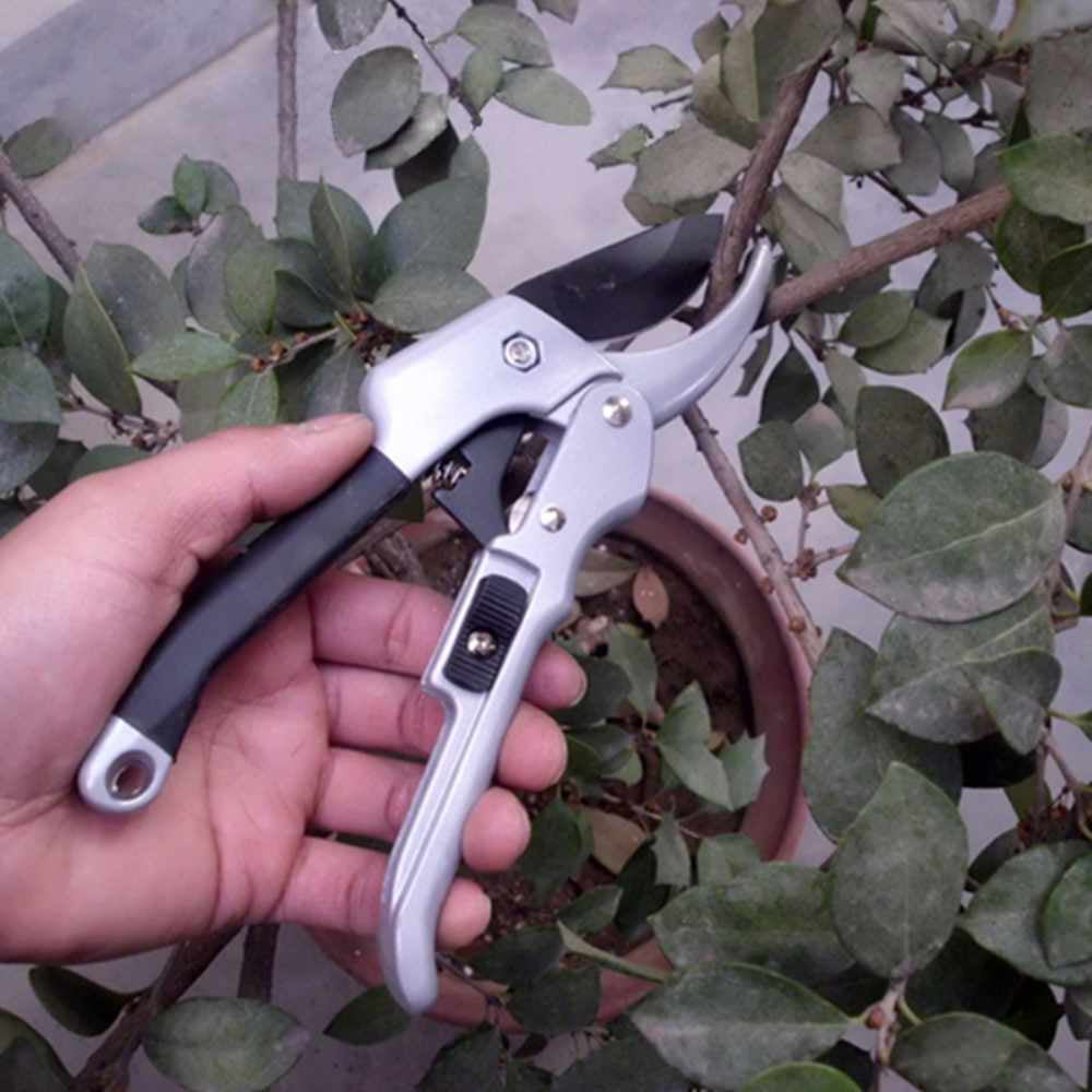 Garden Plant Trim Branch Ratchet Shear Orchard Scissors Horticulture Hand Pruner 
