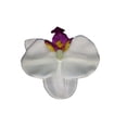 thumbnail image 1 of Horquilla Qarigey con Patrón de Flores Accesorio para el Cabello Tipo AP012915-11, 1 of 6