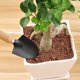 thumbnail image 4 of Juego de 3 minipalas de jardín y herramienta de garra con mangos de madera Ndcxsfigh Para estrenar, 4 of 9