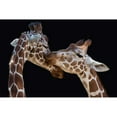 thumbnail image 3 of Foeger, Manfred 18x13 Black Modern Framed Museum Art Print Titled - The Kiss, 3 of 5