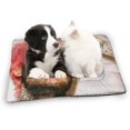 thumbnail image 2 of Peep Lil Pet Mat - Mat for Dogs & Cats, Portable & Washable Pet Blanket Small Pet Pad, 2 of 6