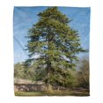 thumbnail image 1 of HATIART Flannel Throw Blanket Blue Bark Scots Pine Tree Pinus in Parkland Rural Soft for Bed Sofa and Couch 58x80 Inches, 1 of 1