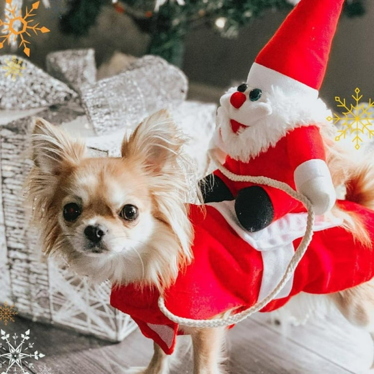 Christmas pet funny clothes Christmas pet funny clothes