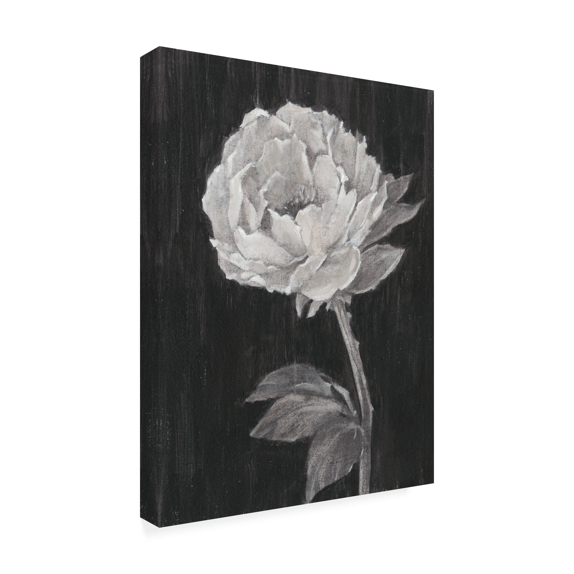 Trademark Fine Art 'Black and White Flowers II' Canvas Art by Ethan Harper