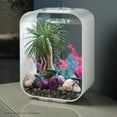 thumbnail image 2 of biOrb Aquarium Plant Bonsai Ball - Plastic, Small, Pink Aquarium Plant Decoration, 2 of 7
