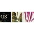thumbnail image 2 of Great BIG Canvas Lisa Audit Premium Thick-Wrap Canvas entitled Garden View II, 2 of 2