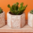 thumbnail image 2 of Small Butterfly Hex Terracotta Pot Tray Set, 2 of 4