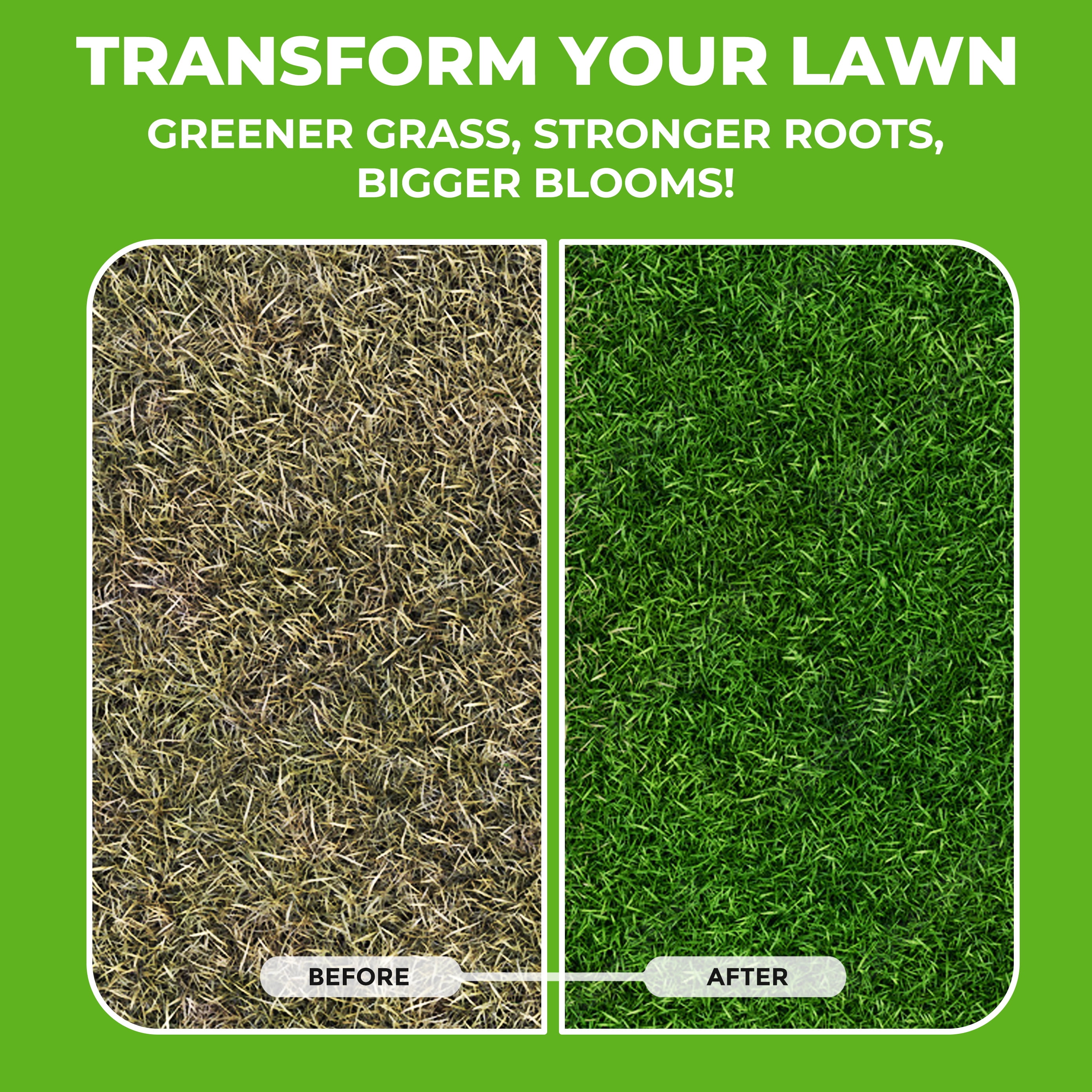 Covington Naturals Liquid Fertilizer for Lawns 10-10-10, All Purpose Plant Food 32 Ounces