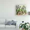 thumbnail image 3 of Trademark Fine Art 'Garden Rabbit I' Canvas Art by Wild Apple Portfolio, 3 of 4