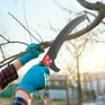 thumbnail image 5 of 24ft Manual Pole Saw Pruner - Lightweight Tree Trimmer with Steel Blade for High Branches & Palms, 5 of 9