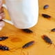 thumbnail image 4 of 50 piezas de cucarachas falsas de broma, juguetes de broma de plástico de apariencia real, insectos aterradores, bichos realistas, regalos de broma, cucaracha novedosa para fiesta de Halloween, 4 of 5