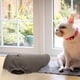 thumbnail image 5 of Suéter Grueso Rocker Fleece Jersey Cálido para Perros Pequeños Chaleco Chihuahua, 5 of 6