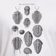 thumbnail image 3 of CafePress - TRILOBITES Fitted T Shirt - Fitted T-Shirt, Vintage Fit Soft Cotton Tee, 3 of 4