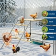 thumbnail image 3 of Pinypikaka Chicken Perch for Coop, 37.4"x18.9"x28" Chicken Roosting Bars with Swing and Food Box for Backyard Farm, Roosting Bars for Chickens in Coop, 3 of 6