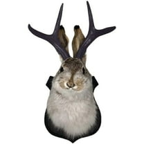 Jackalope Head Wall Decor, Faux Taxidermy Animal Mount With Antlers, For Living Room, Bedroom, Office, Rustic Home Wall Art Decorations