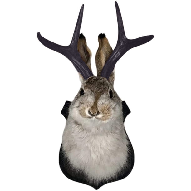 LINMOUA Faux Taxidermy, Head Wall Decor, Deer Head Wall Mount