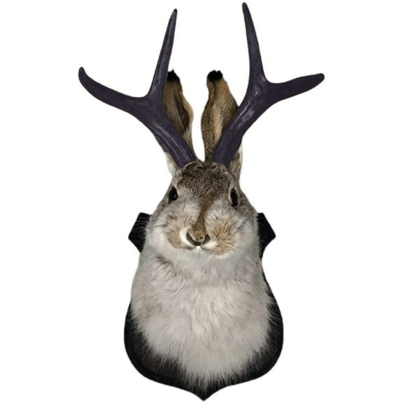 Jackalope Head Wall Decor, Faux Taxidermy Animal Mount With Antlers, For Living Room, Bedroom, Office, Rustic Home Wall Art Decorations