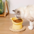 thumbnail image 5 of Cinvoph Elevated Cat Bowl Non Tipping Shallow 4" Wide Feeding Bowl Non-Slip Weighted Base for Adult Cats Decorative Pet Dish Easy to Clean, Yellow, 5 of 6