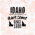 thumbnail image 4 of Inktastic Idaho Awesome Since 1890 Boys or Girls Baby Bodysuit, 4 of 5