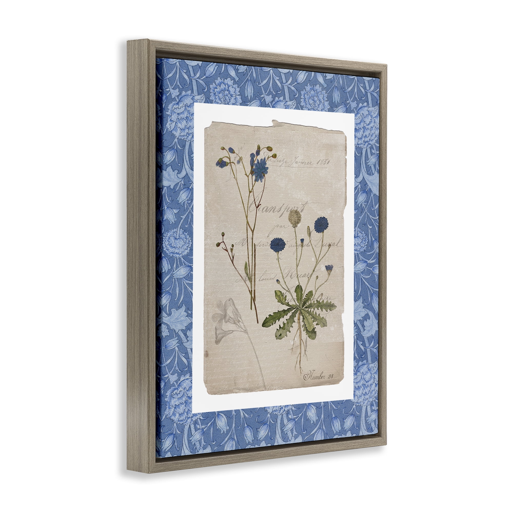 Stupell Industries Blue Antique Herbs Brown Framed Floater Canvas Wall Art, design by Livi Finn