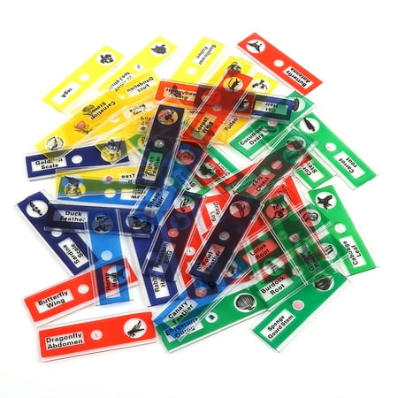 33 Label The Microscope Game - Labels Information List