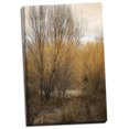 thumbnail image 1 of Gango Home Decor Spring Serenity II by Vitaly Geyman (Ready to Hang); One 24x36in Hand-Stretched Canvas, 1 of 4
