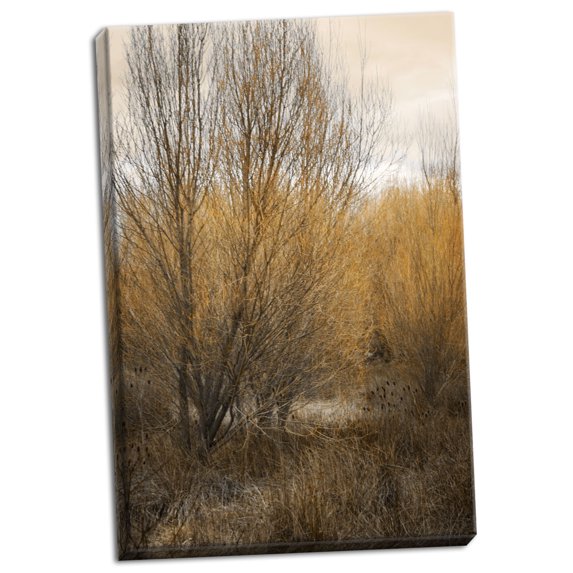 Gango Home Decor Spring Serenity II by Vitaly Geyman (Ready to Hang); One 24x36in Hand-Stretched Canvas