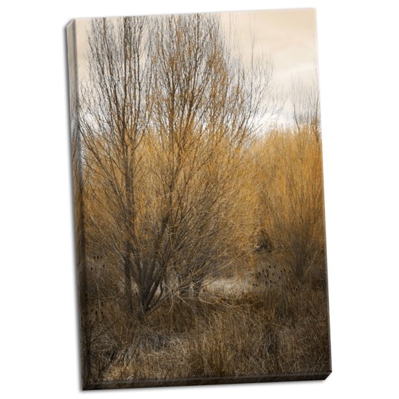 Gango Home Decor Spring Serenity II by Vitaly Geyman (Ready to Hang); One 24x36in Hand-Stretched Canvas