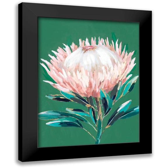 Isabelle Z 12x14 Black Modern Framed Museum Art Print Titled - Single King Protea