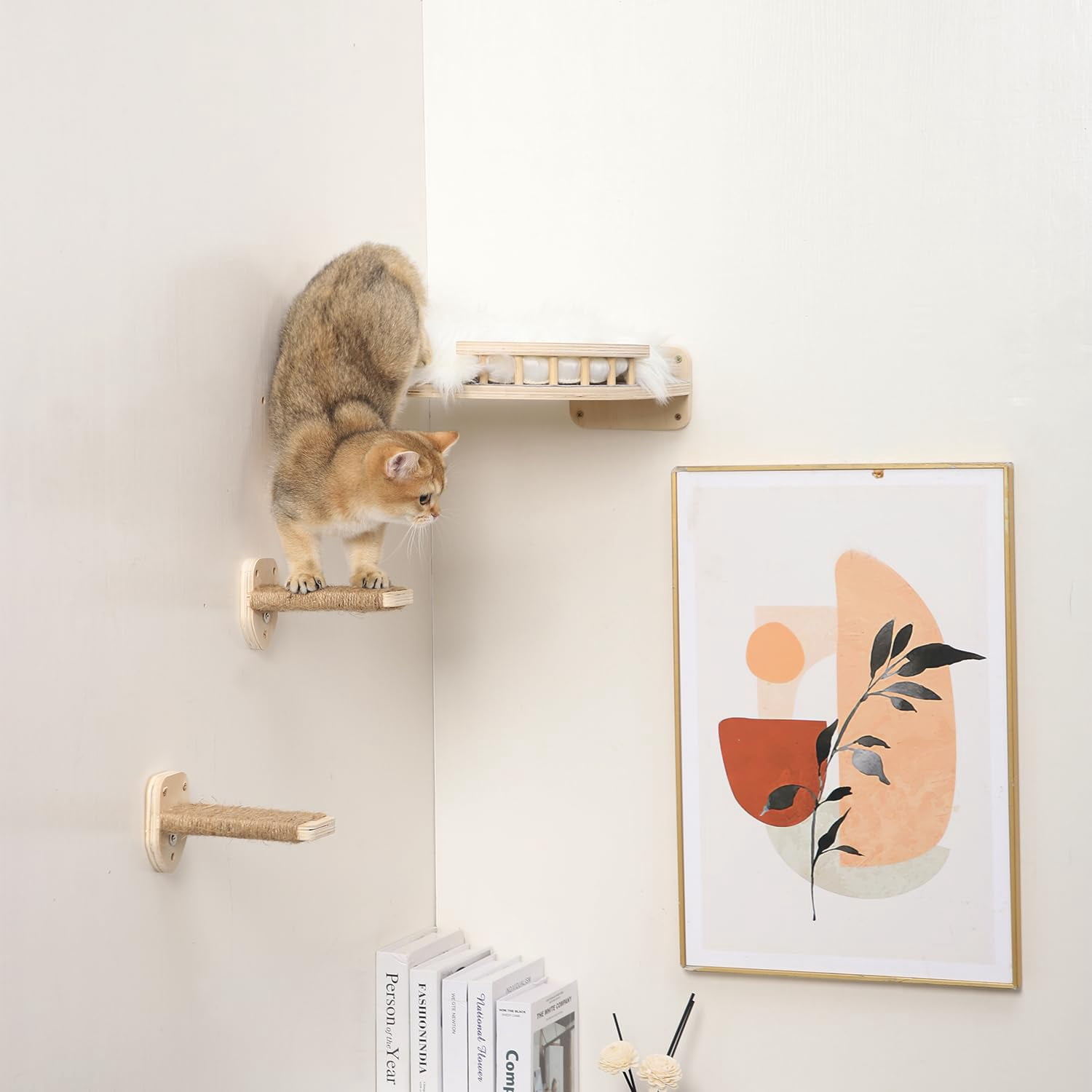 Cat Wall Shelves - 3 Steps Scratch & Hammock Bed With Plush Cover  Climbing Shelf For Indoor Cats (wood)