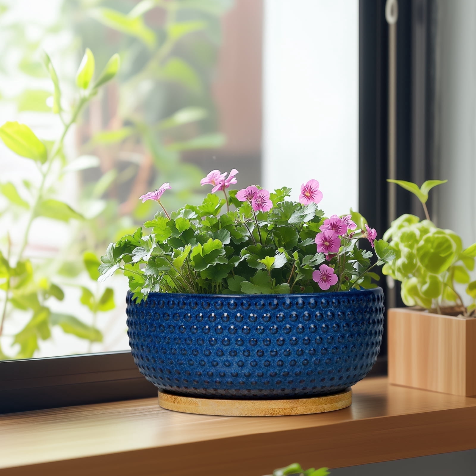 8 inch Succulent Planter Bowl, Round Ceramic Pot with Drainage Hole & Bamboo Tray,Shallow Flower Pots for Indoor Plants Cactus Blue