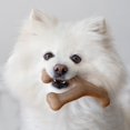 thumbnail image 2 of Juguetes masticables para perros Benebone Wishbone/Dental Durable, 2 unidades, 2 of 7