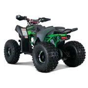 Rival Trailhawk 10 125cc Fully Automatic Mid Sport ATV