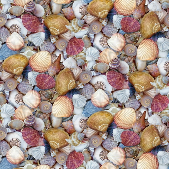 Windham Fabrics Landscapes Shellabrate Seashells Multicolor 100% Cotton Sold by The Yard