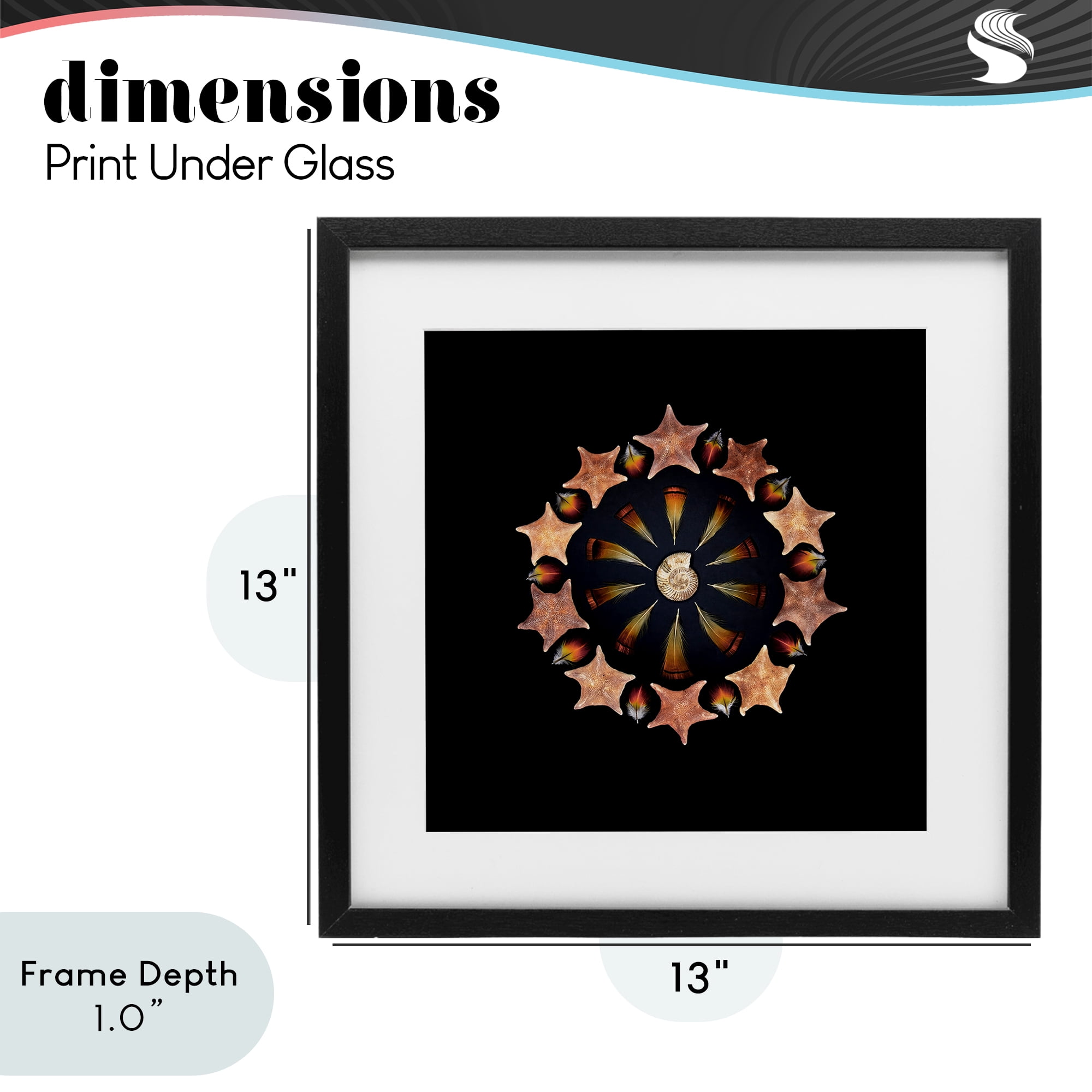 Stupell Industries Nautical Nature Arrangement Black Framed Print Under Glass, design by Beth Adoette