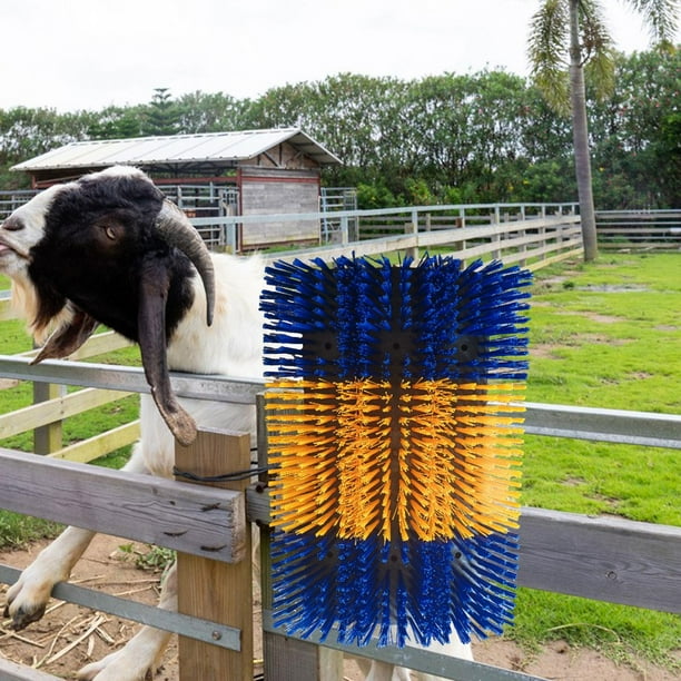 Cepillo rascador para ganado Shamjiam herramienta flexible de cuidado de animales de granja Azul y amarillo