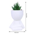 thumbnail image 2 of TIELUTT Lazy Man's Mini Planter with Dummy Easy Care Decorative Pots Big Christmas Ornament Christmas Ornament Keepsake Christmas Decorations and Matrix Ornament Ornament Packs, 2 of 7