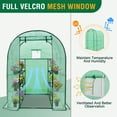 thumbnail image 6 of EAGLE PEAK Mini Walk In 3-Tier 8-Shelf Walk-In Gardening Planting Greenhouse with Roll-up Zipper Door, Mesh Side Windows, Green, 6 of 9