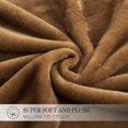 thumbnail image 4 of HTOOQ Queen Blanket Soft Warm Cozy Luxury Plush Lightweight Flannel Blanket for Home Living Room Bedroom, Coffee, 90"x90" Coffee Queen, 4 of 6