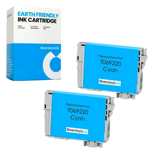 OverstockInk T069 Cyan Ink Cartridge Compatible for Epson 69 T069 for Stylus CX7400 (2 Cyan)