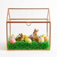 thumbnail image 1 of Centro de mesa Glass House D'Eco Terrarium 25 x 15 x 20 cm, 1 of 9