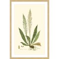 thumbnail image 2 of Marmont Hill "Curtis Ferns III" Framed Painting Print, 2 of 6