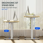 FLEXISPOT 55x28 Home Office Height Adjustable Standing Desk with Hooks, Ergonomic Electric 2-Stage Stand Up Computer Desk, White and Maple