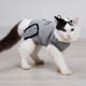 thumbnail image 5 of Traje de recuperación para gatos Heridas abdominales Enfermedades de la piel E-Collar Alternativa de cono, 5 of 8