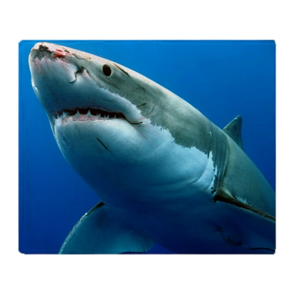 CafePress - GREAT WHITE SHARK 3 - Soft Fleece Throw Blanket, 50"x60" Stadium Blanket
